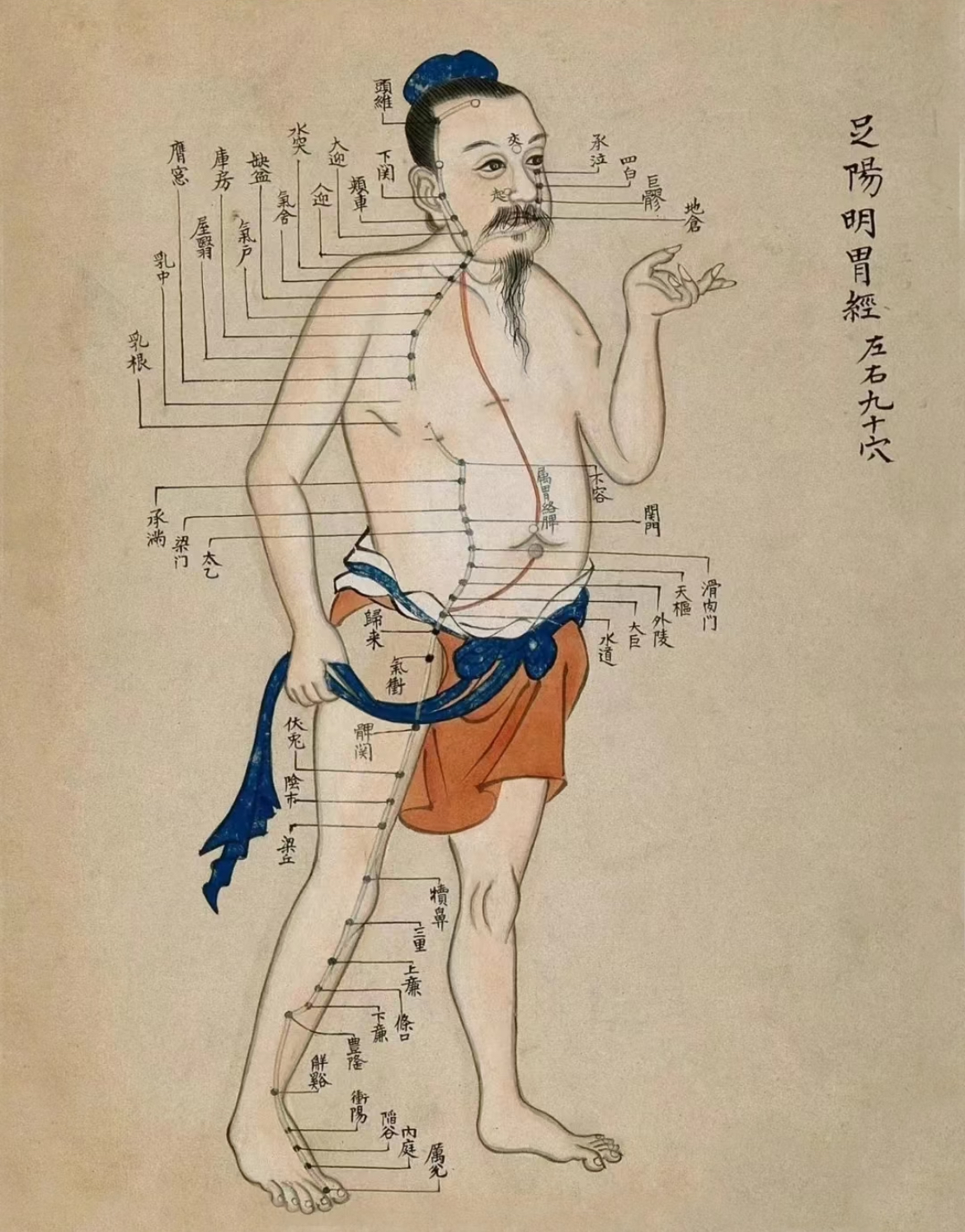 中医经络图 - 人体十二经脉与奇经八脉系统示意图