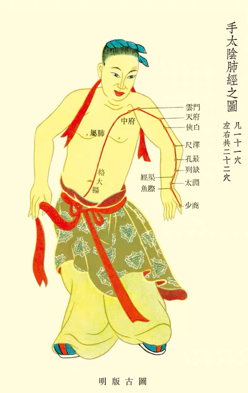 手太阴肺经 - 十二经脉之一，主管呼吸