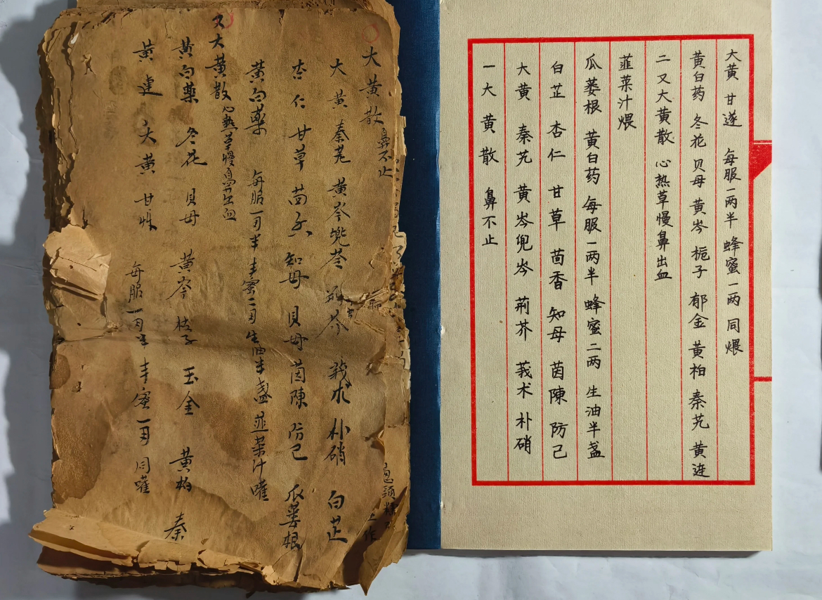 药方配伍 - 传统君臣佐使药材搭配